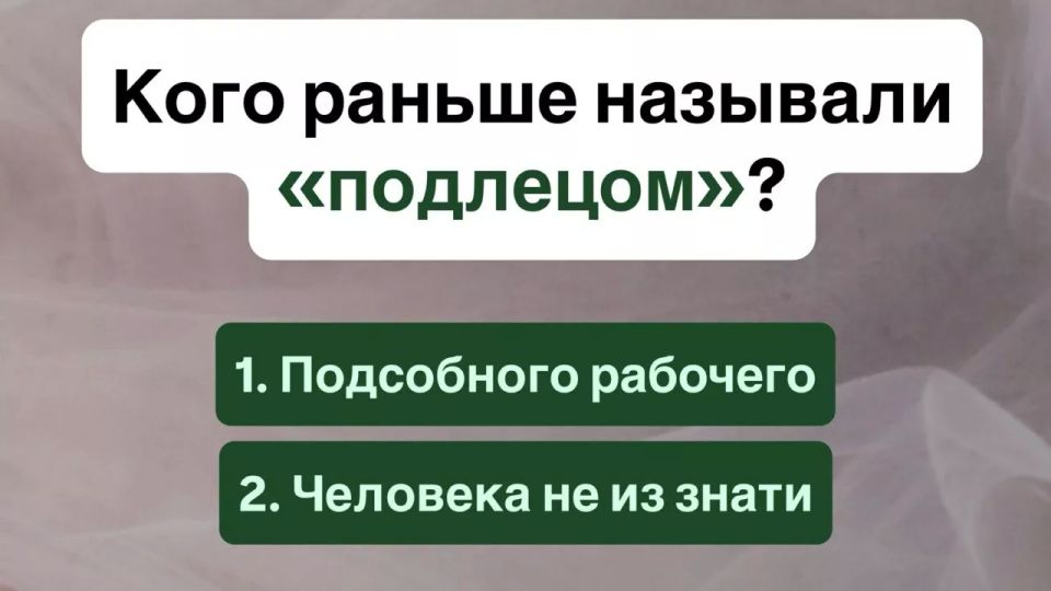 Тест на грамотность: кто такой «подлец» на самом деле? Есть 2 варианта — 99% людей выбирают неправильный
