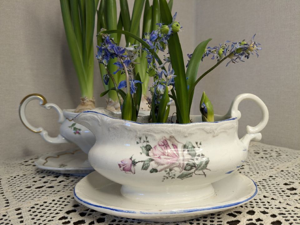 Скрытая правда премиум-подписок: как пользователи раскрывают имена авторов