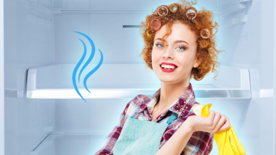 И от плесени защитит: с этими таблетками вы навсегда забудете о неприятном запахе в холодильнике