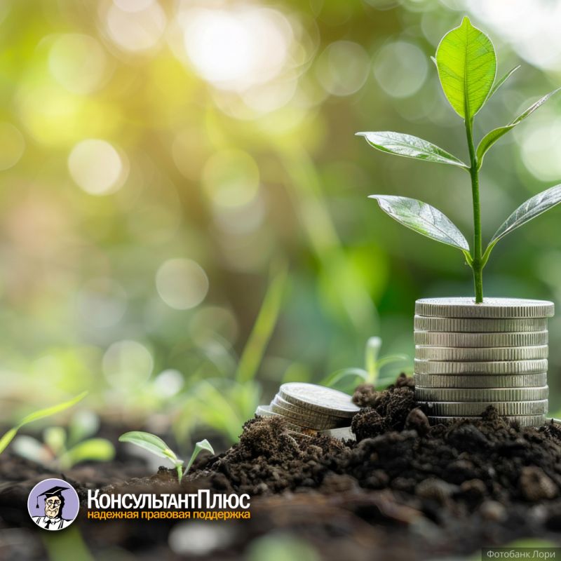 Новые налоговые инструменты для долгосрочных сбережений: что ждет россиян?