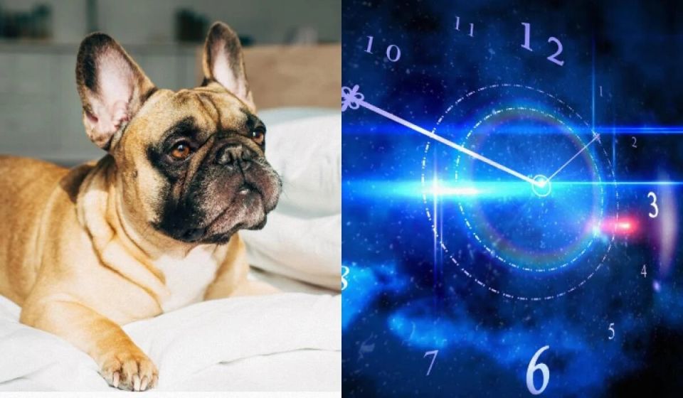 ����� ������� �������� ������������� ������ ����� �������?