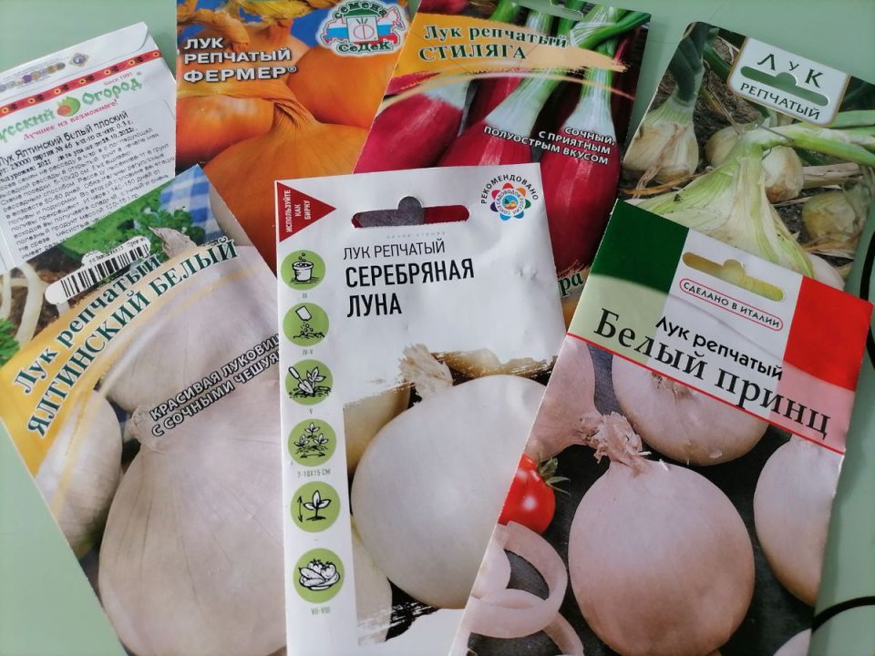 7 ������ ����: ����������� � ������ 2026 ����