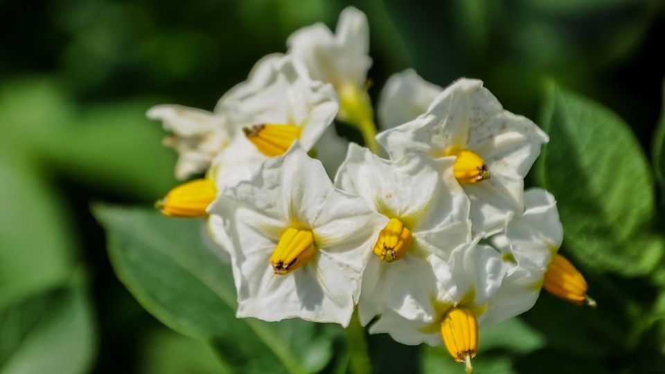 ��������� �������� � 2 ���� ������: ��� ������ �������� � ���������