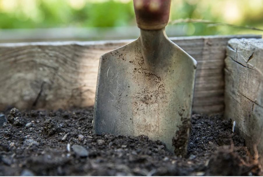 ����� ����� ����� �������: ��������� � ������� ������� ���������