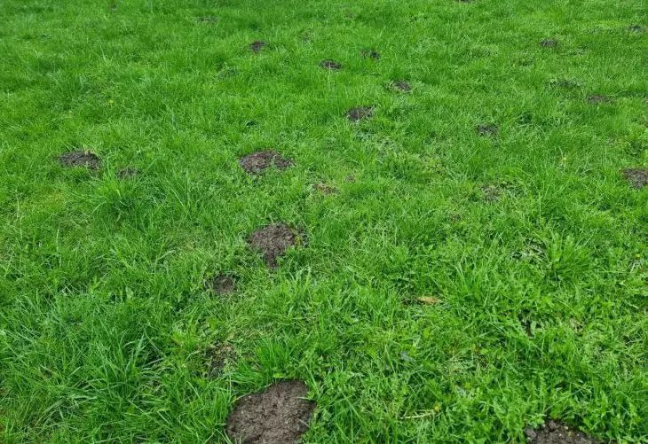 ��� ������ ��������� �����: ������� ������, � ������� ������ ��������