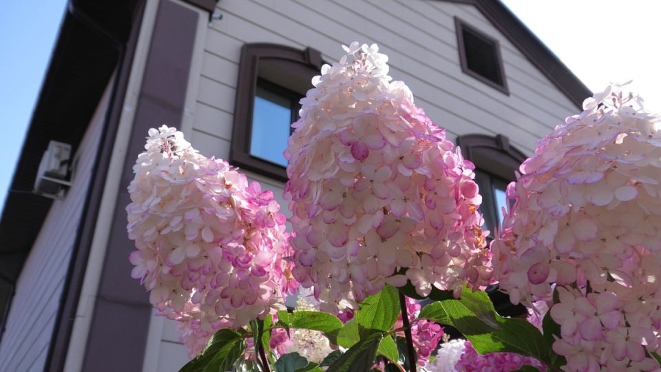 ����� �� ������ ����� ����� � �����������?