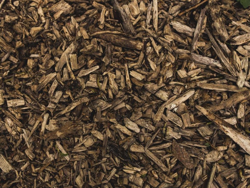 ��� ������ ������������� ����� ������ ��� ��� �� �������