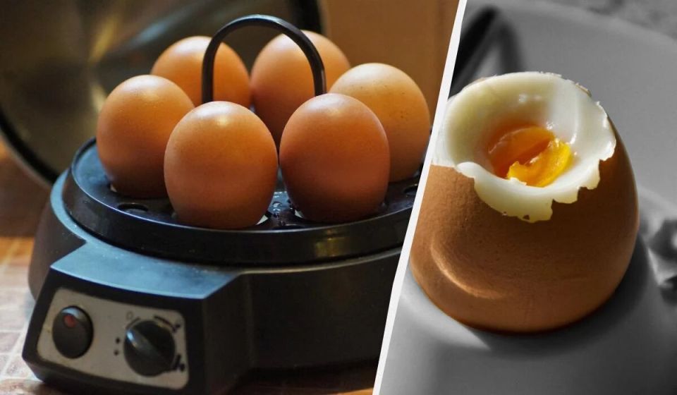 ��� ������ ����, ����� ��� ���� ����������: ������� � ������