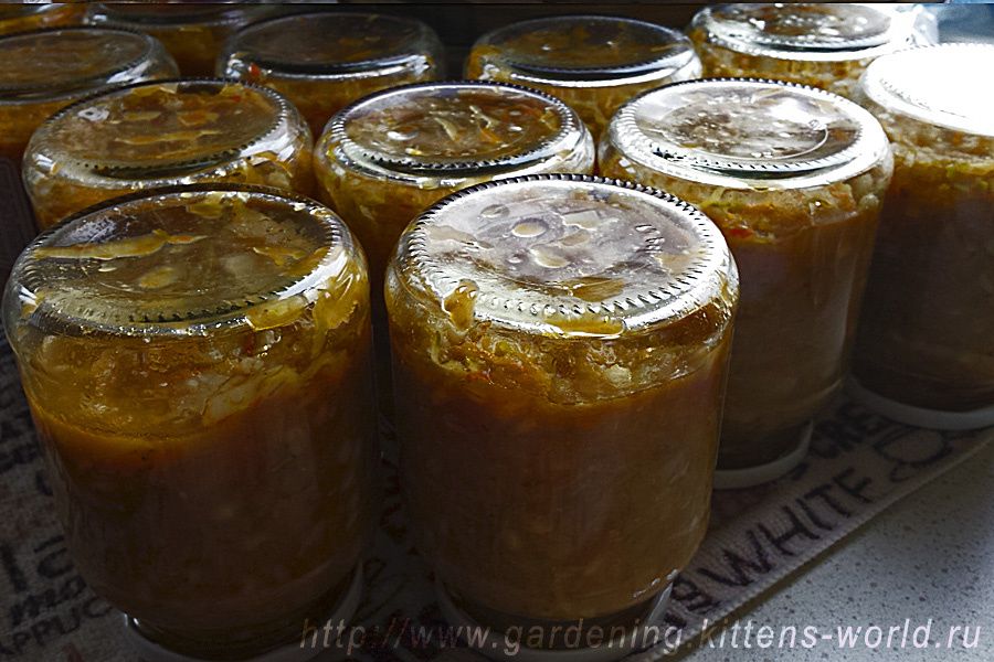 �������� ��� �����������: ��������� ������ ��������� ������ ����� �� ����