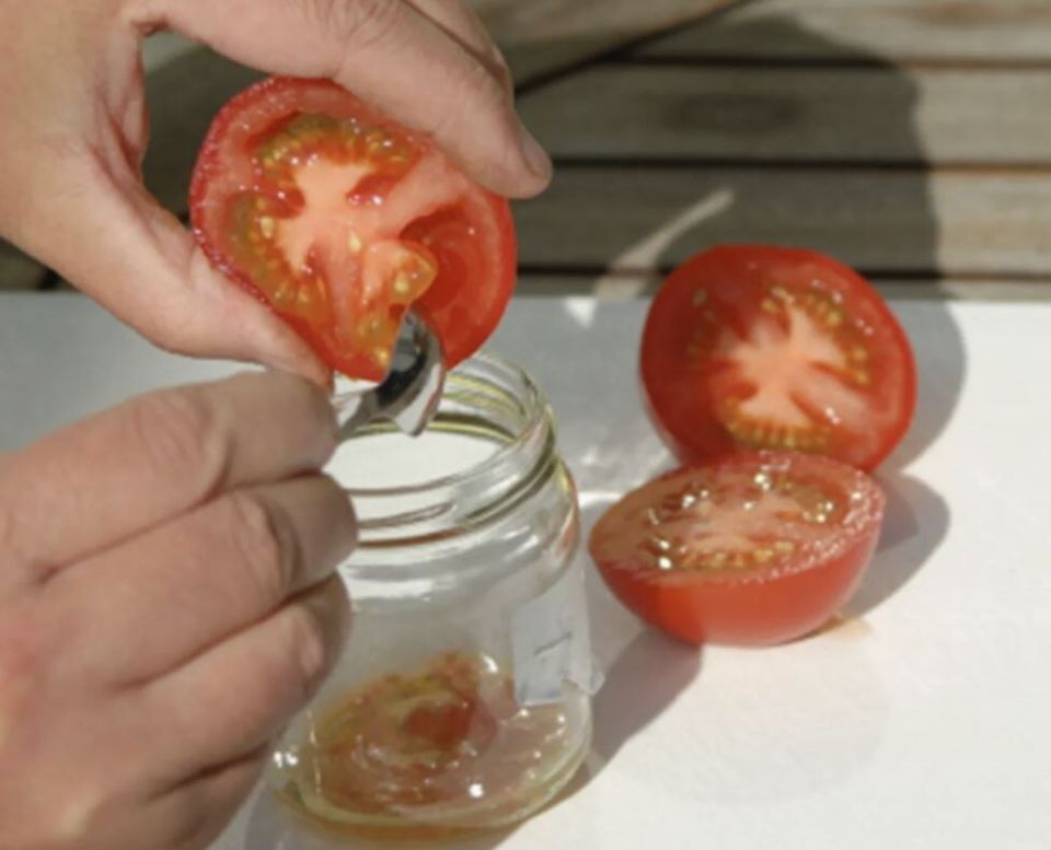 ������� ��������� ���������� ����� ���������: ���� � ����������