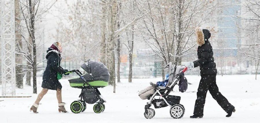 ����� ������� ������� ������� 2026: ��� ���������