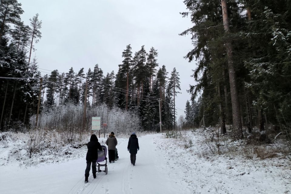 Западные заповедники под угрозой: новый закон может разрушить экосистему России