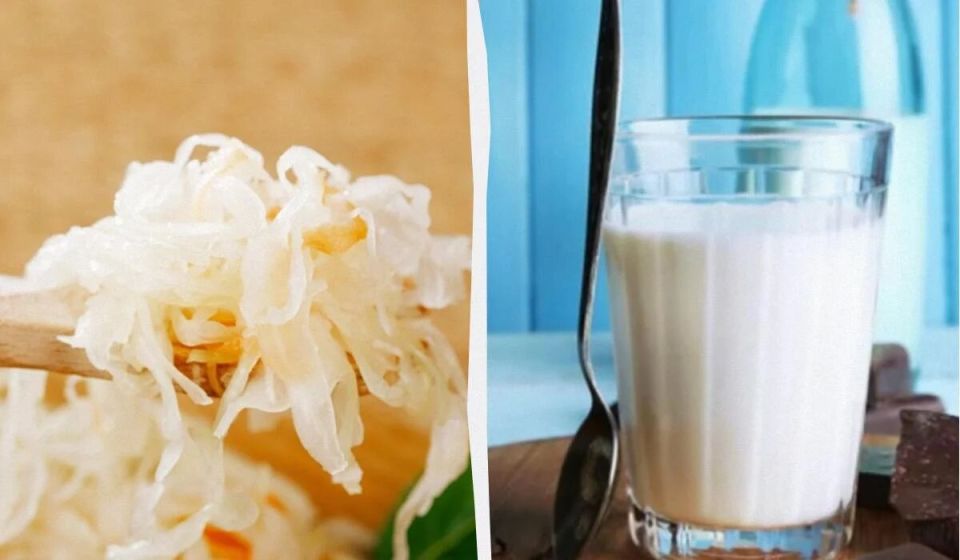 ���������� � ������������ ���������: ��� �������� ������� ��� ���������