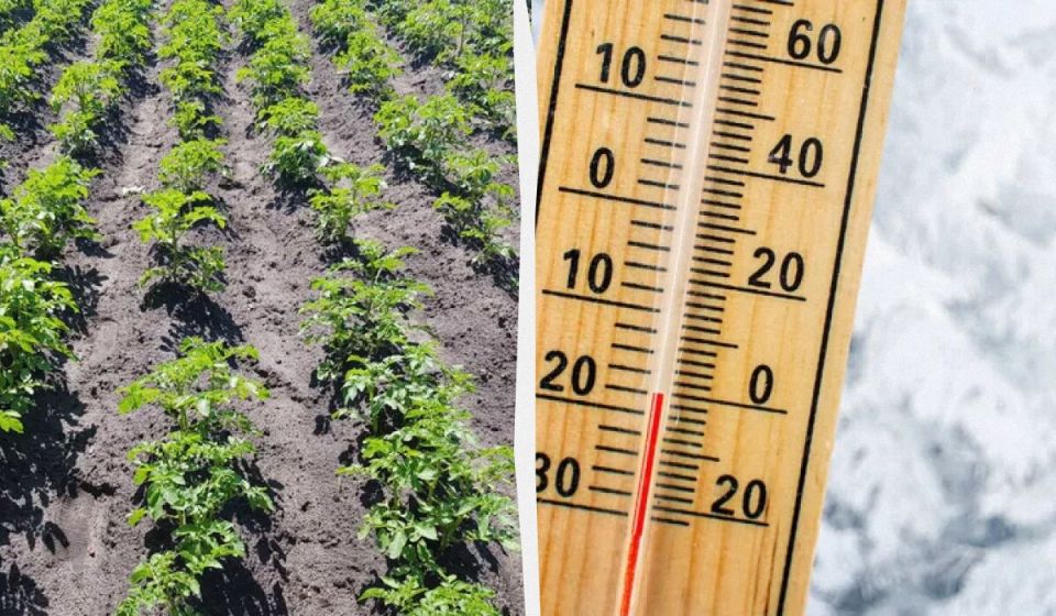 ��� ������ � ��������� ��������� �� ������ � ��� ��������� ������