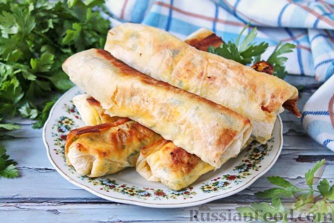 �������� ���: ������� � ������ �������� �� ������ ����