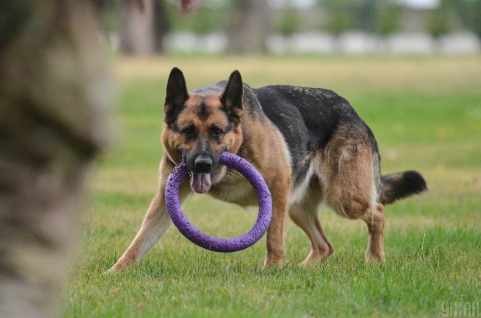 ������ �������� ����� �������� ��� �����: ������ �� �������� ��������� ������ �����