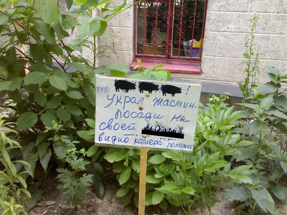 Как цветы на общественной клумбе становятся предметом спора о справедливости