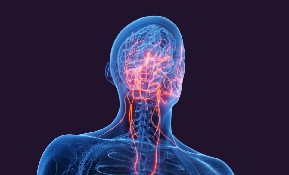 ���� ��������: ��� ������� ������� ��������� ������� � ������������� ��������