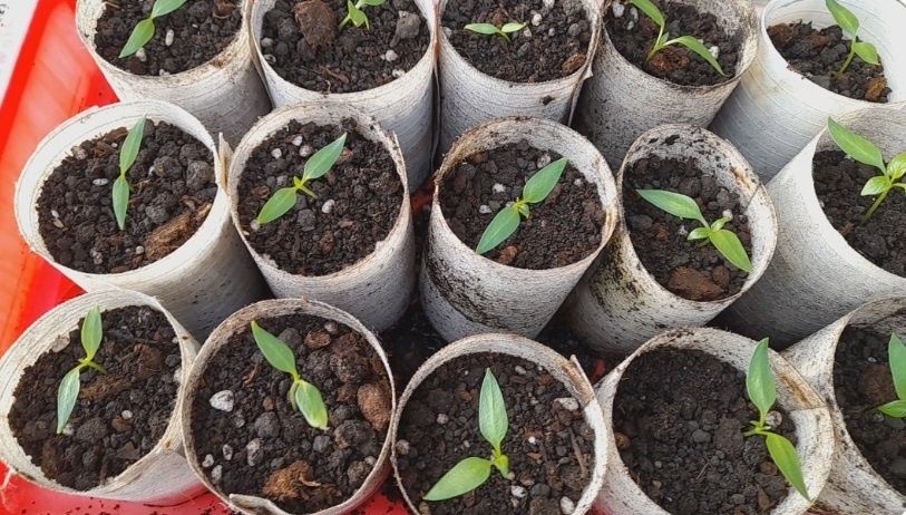 ��������� �����: ����� �������� ����� ������� �� ������� �����