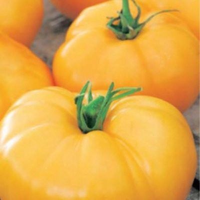 Томат Руслан: мощный куст с обильным урожаем в открытом грунте