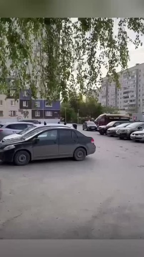    ?.       ,  