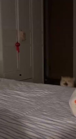 . ,         