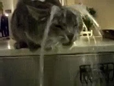 ,  !    