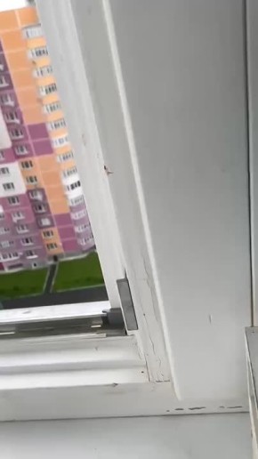   ,   