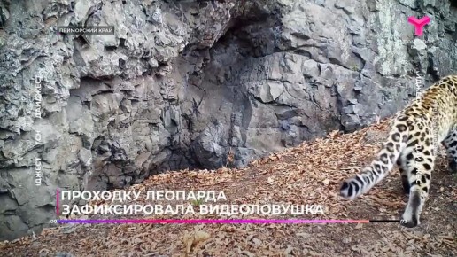          -     72