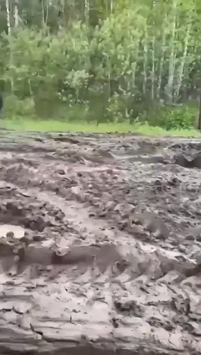    (   )   ,  -  -
