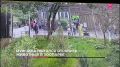 О заметных событиях дня в России и мире - в нашей подборке
