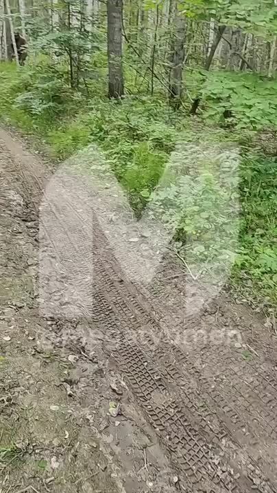 , , :          