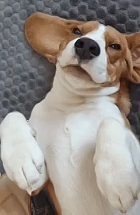   . ,      