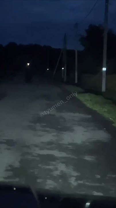               ( ) 