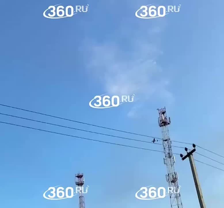          48        