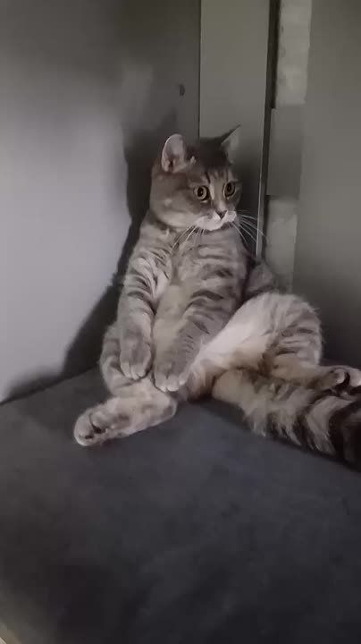 ,   ,        