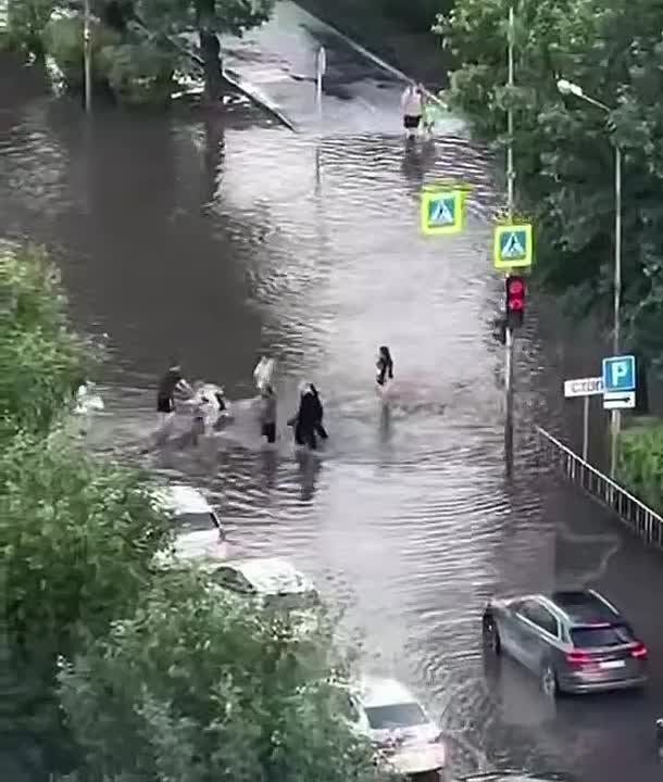         :    