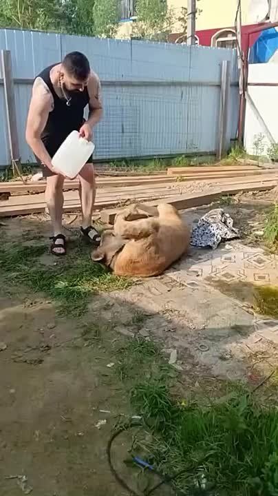      ,   ,          ,   ,     