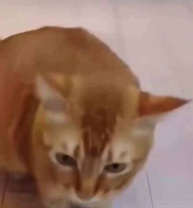      !