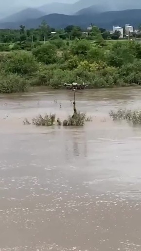    ,        ,      