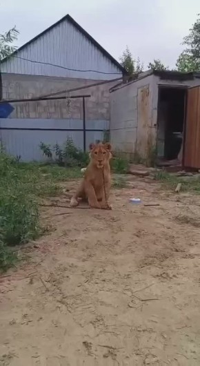 :   ,    ,       