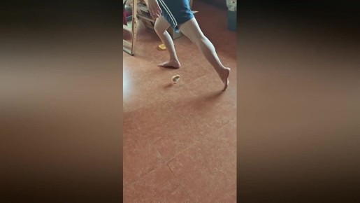     ,        ,  