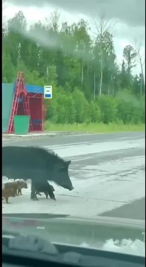  ,          