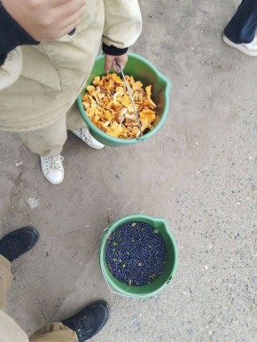      ,     