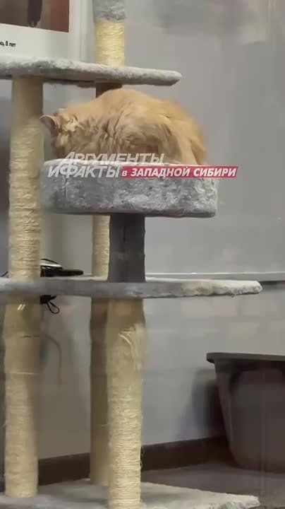   - , ,        ,    