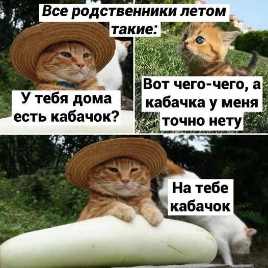 ,      -
