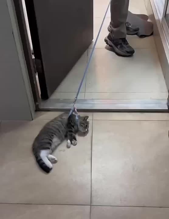    :. 