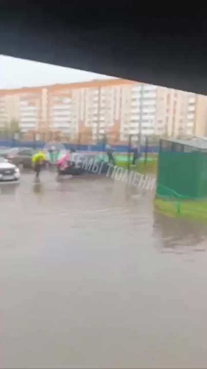   :      ,    