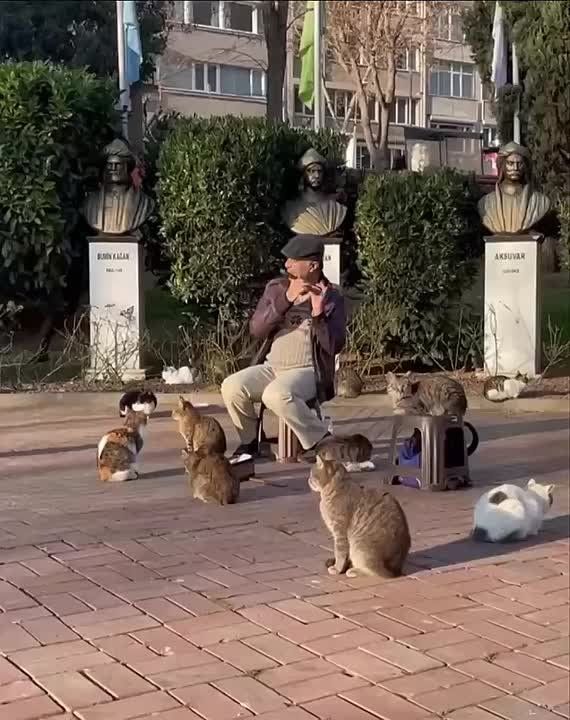     :