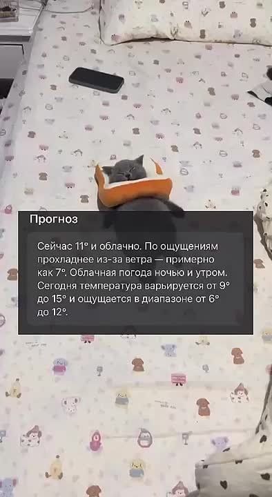  .       ! 